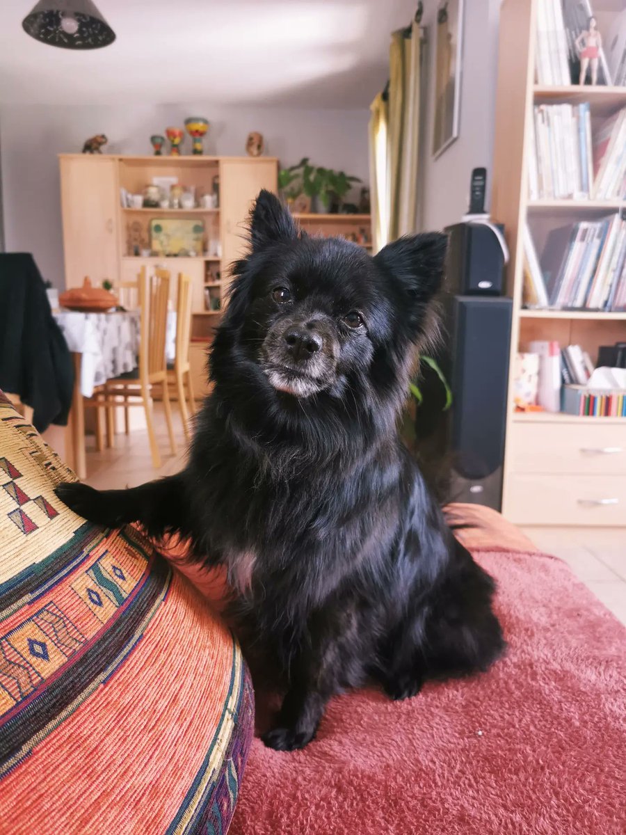 Mysato 🎀 (ex peekmin) tweet media