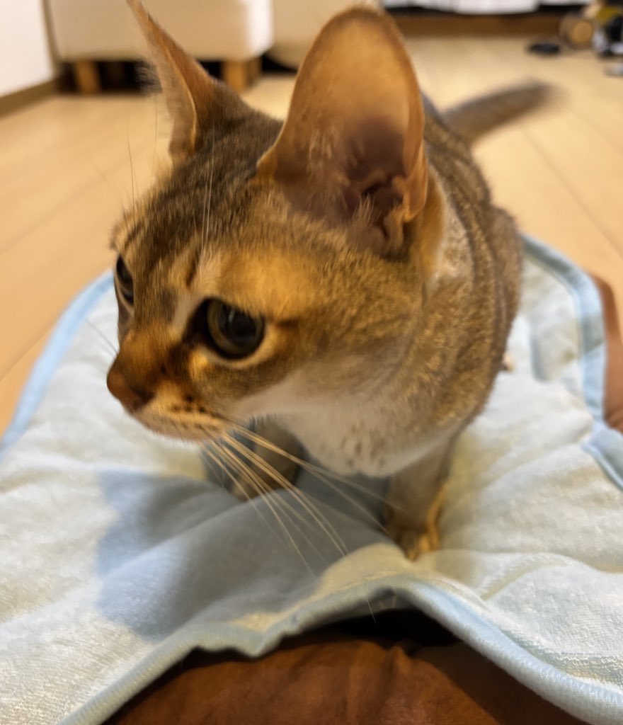 まなみ tweet media