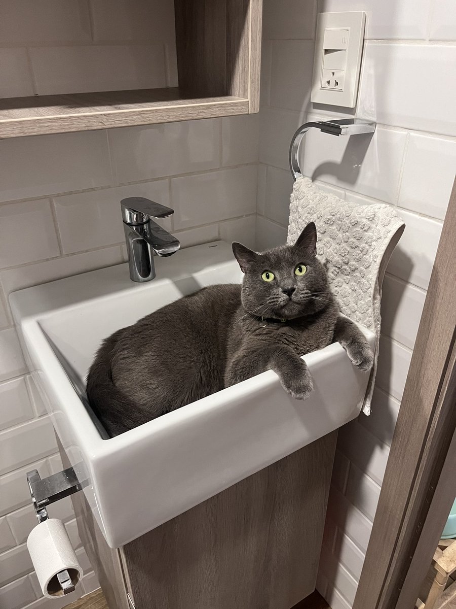 C. 🫰🏻 tweet media