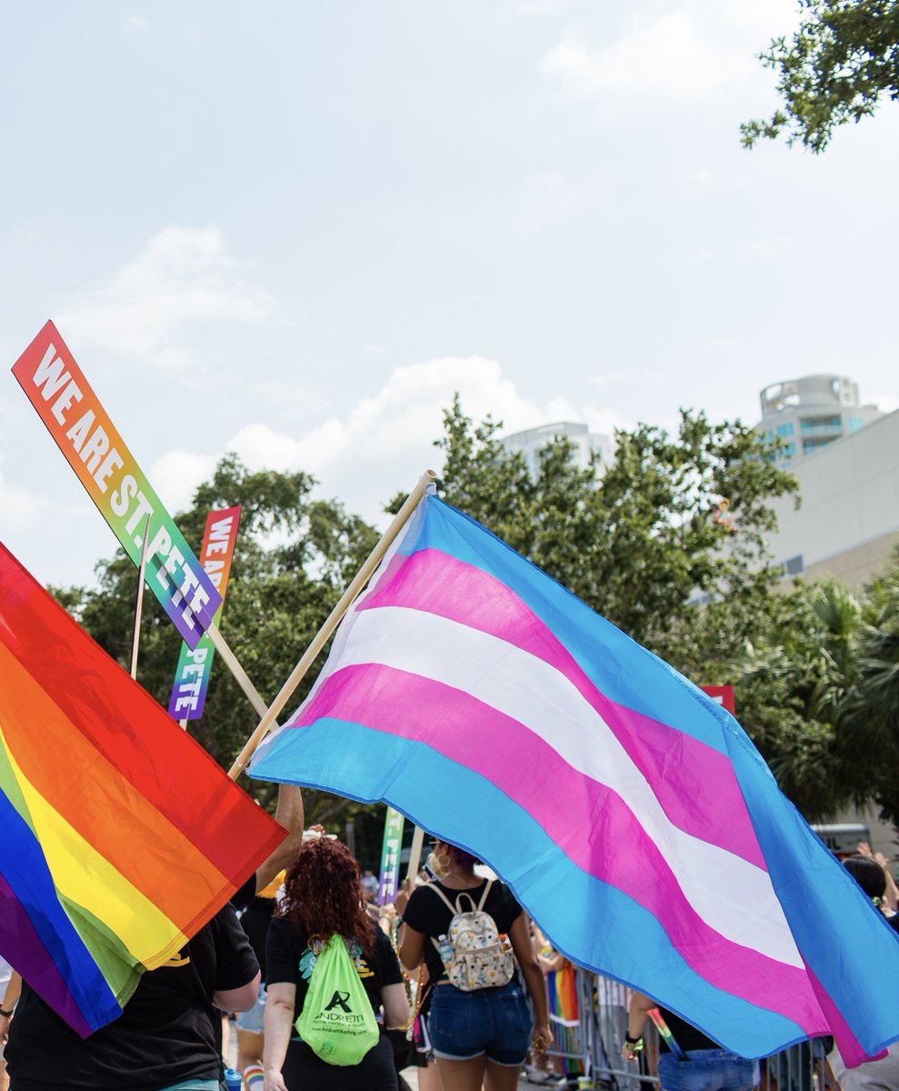 St. Petersburg, FL tweet media