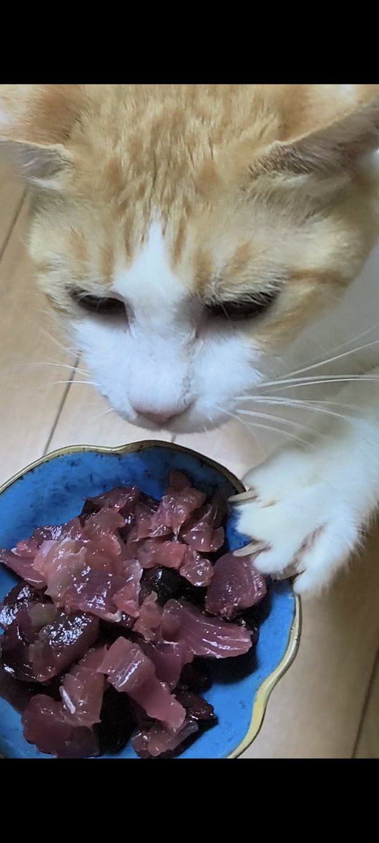 五十嵐順子 tweet media