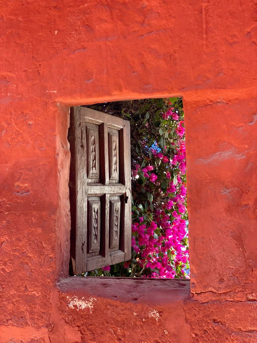 🇵🇷 ʝυѕт å gιɾℓ 🇵🇷 (@hijadelsol90) on Twitter photo 