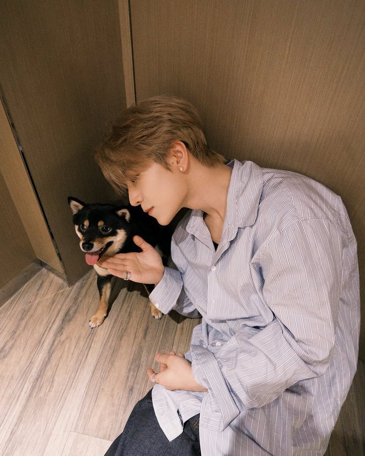 Anxen 周 tweet media