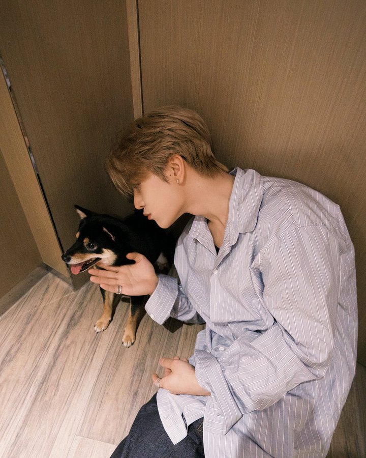 Anxen 周 tweet media