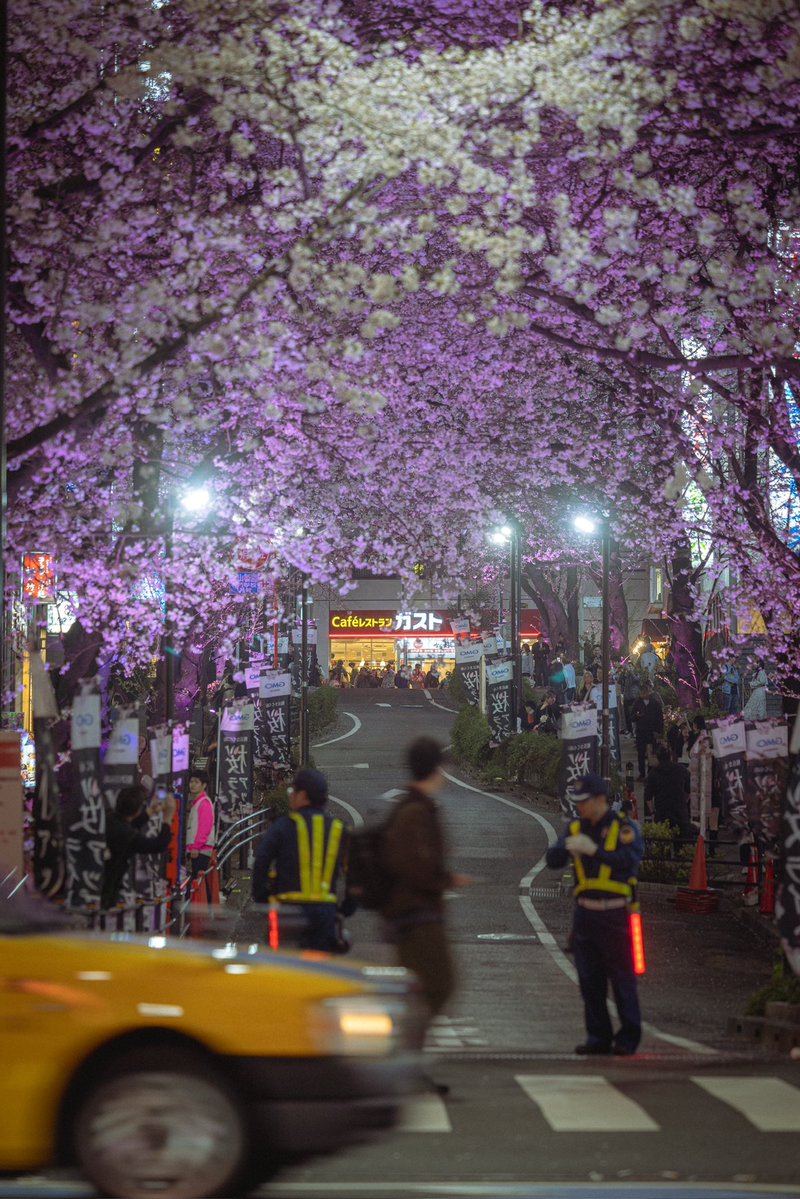 田津原理音(田津原理音) tweet media