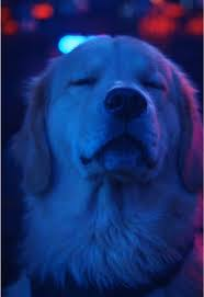 Jose Luis G...G? tweet media