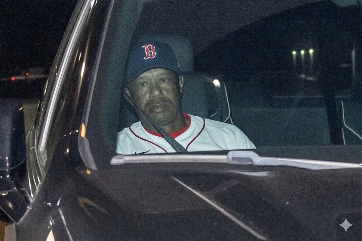 Southeast Sports Cards tweet media