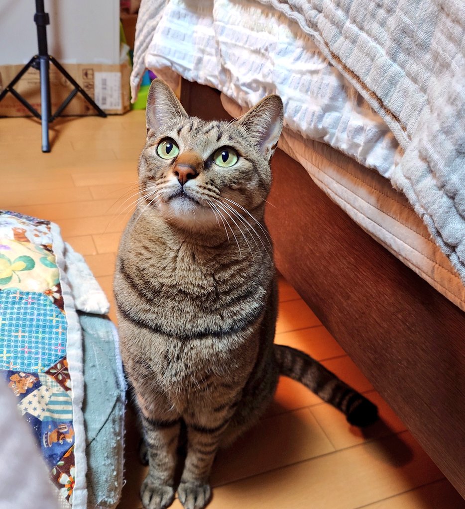 椹野道流🍣ﾌｼﾉﾐﾁﾙ tweet media