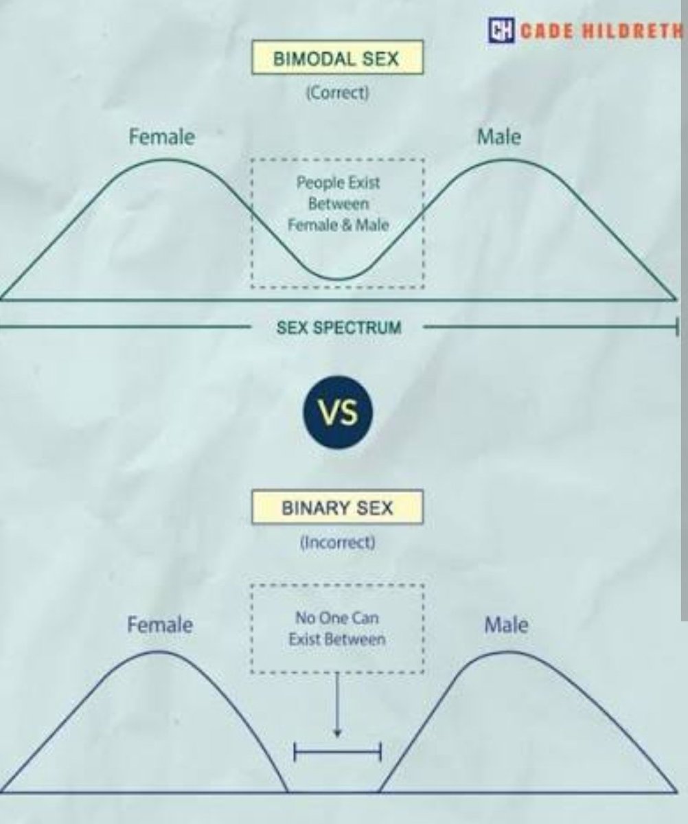 Prss 🇵🇸🇪🇸🏳️‍⚧️🏳️‍🌈 tweet media