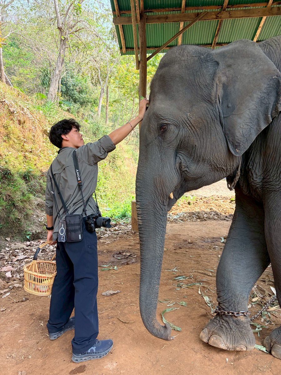 Ryusei -動物ガチ勢- tweet media