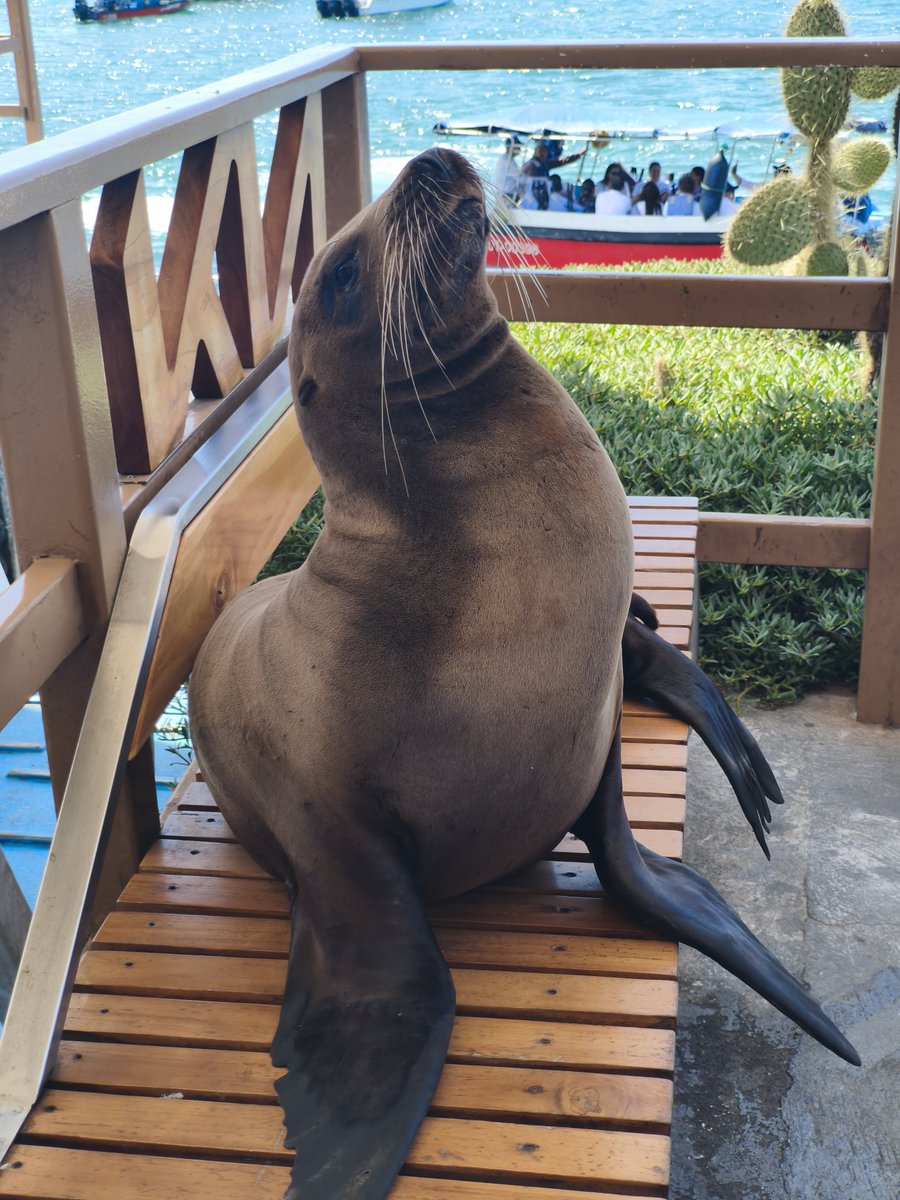 Xavier Bermúdez L. tweet media