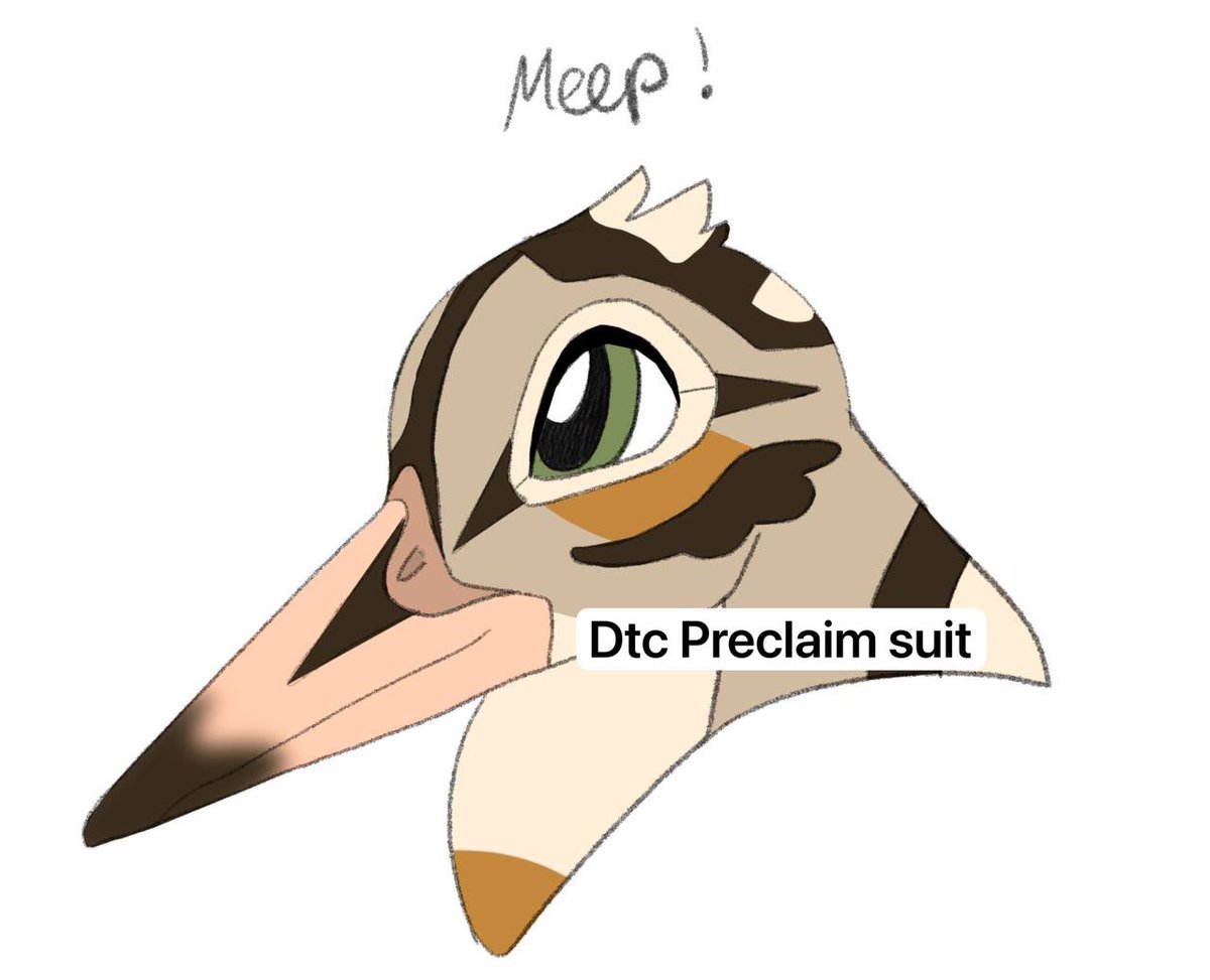 Are you interested in an American woodcock premade ?