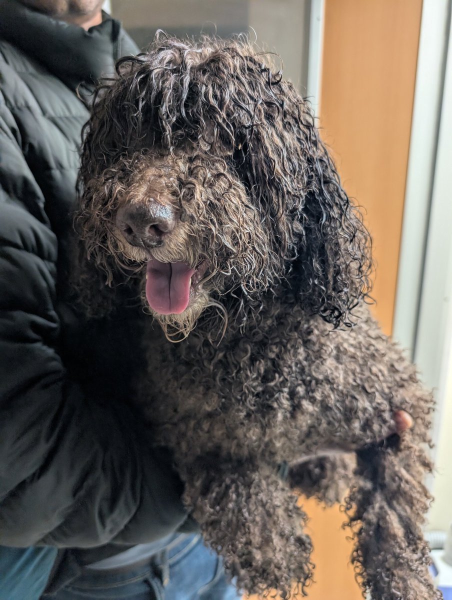 Misato Monta tweet media