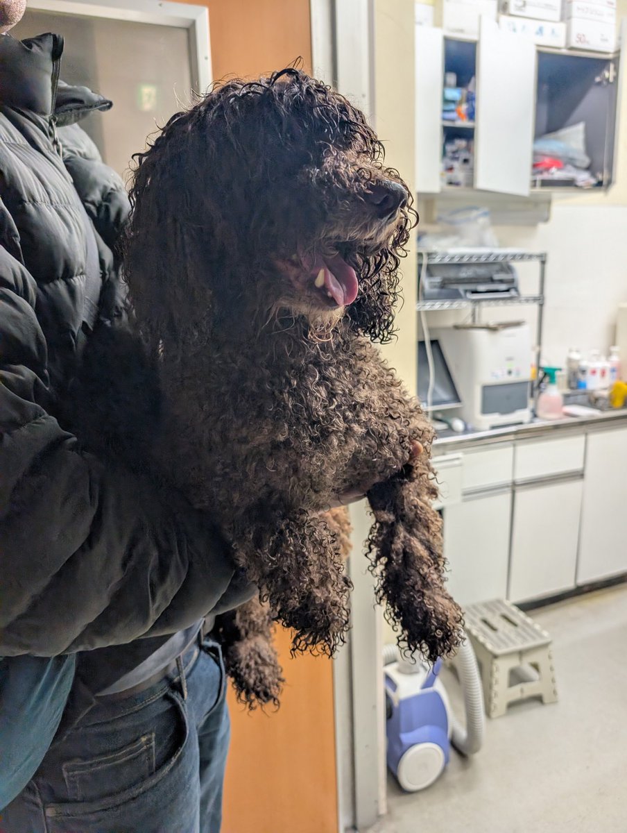 Misato Monta tweet media