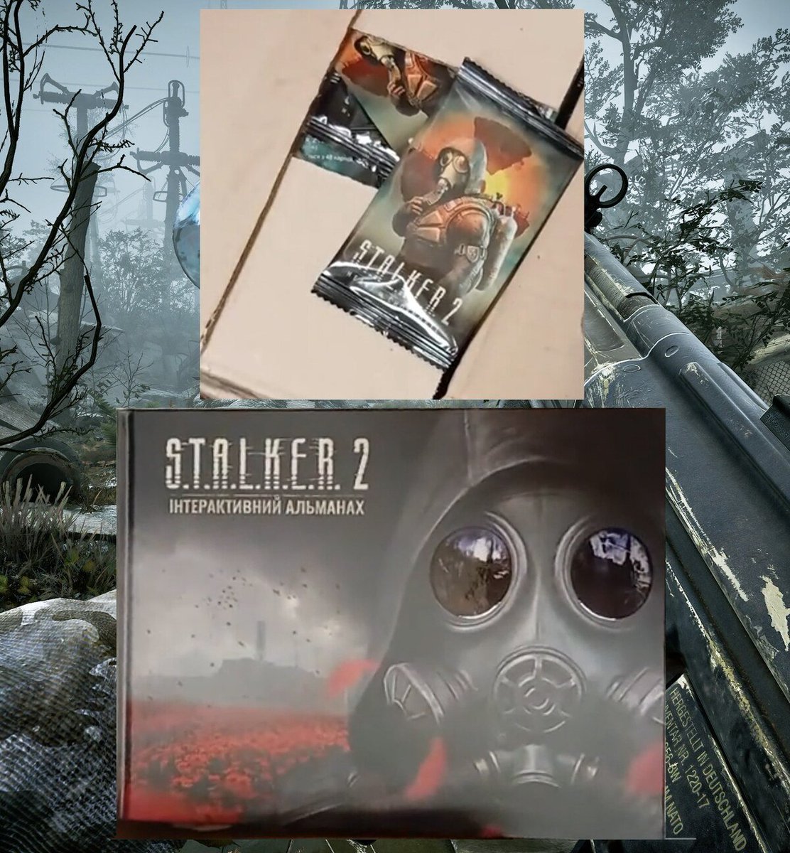 🇺🇦 Michael Zinchenko tweet media