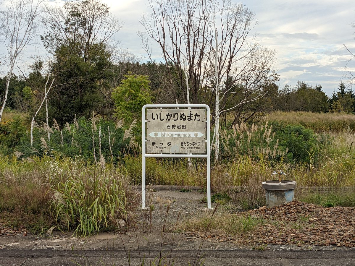 monta7jp@camera tweet media