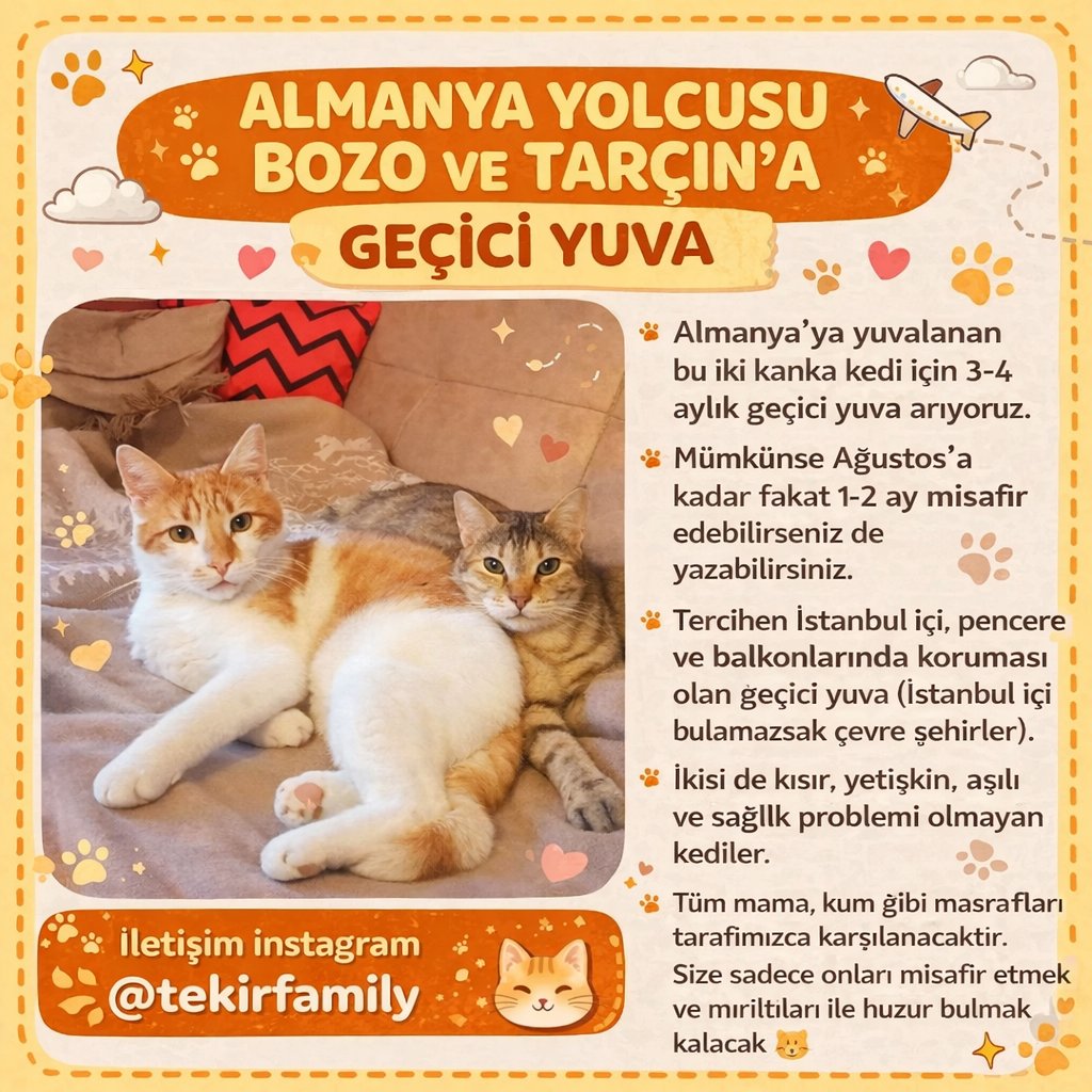 Tekircilik kazanacak tweet media