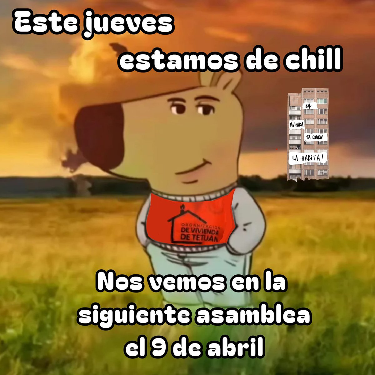 Organización Vivienda Tetuán tweet media