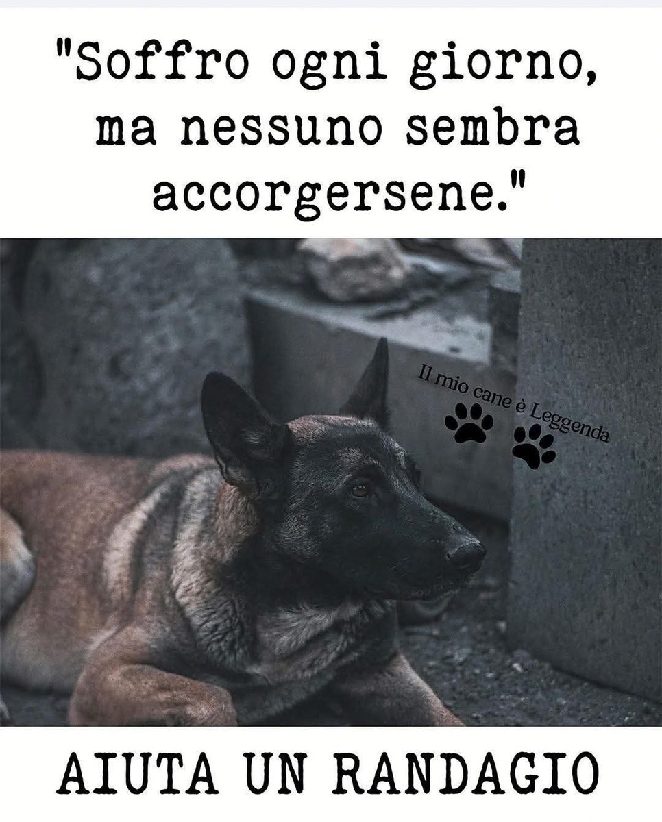 Iaia tweet media