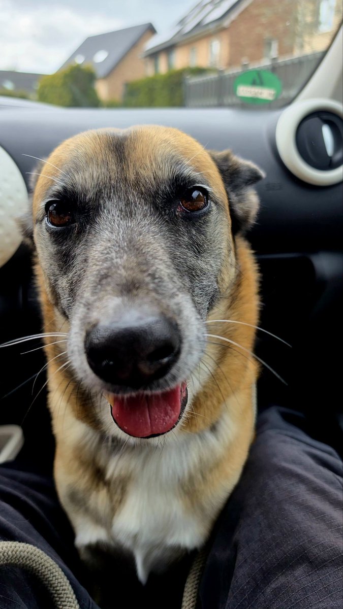 𝕃𝕠𝕦𝕕 𝕚𝕟 𝕊𝕚𝕝𝕖𝕟𝕔𝕖 tweet media