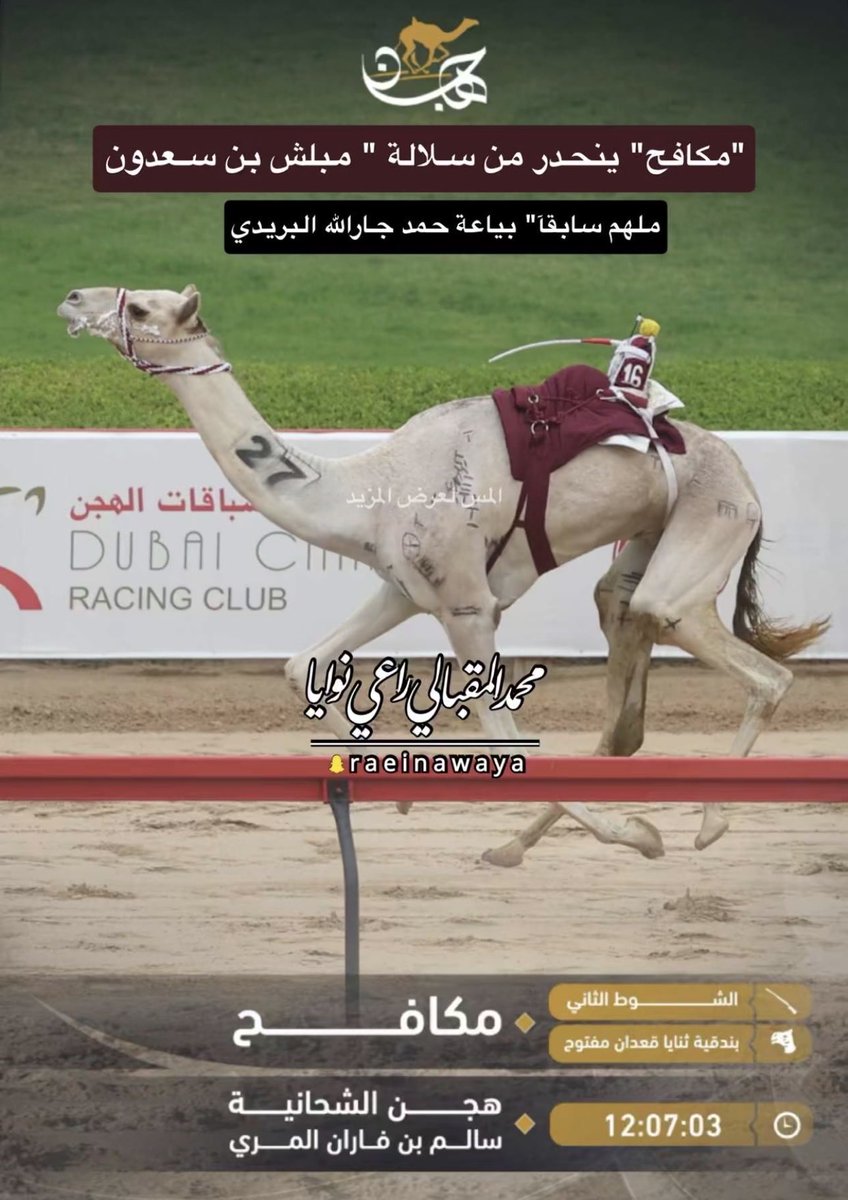 بدر آبن دخيل الهاجري tweet media