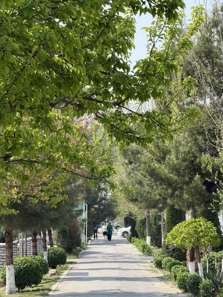 Nurkamol Vakhidov (@nurkamol) on Twitter photo 