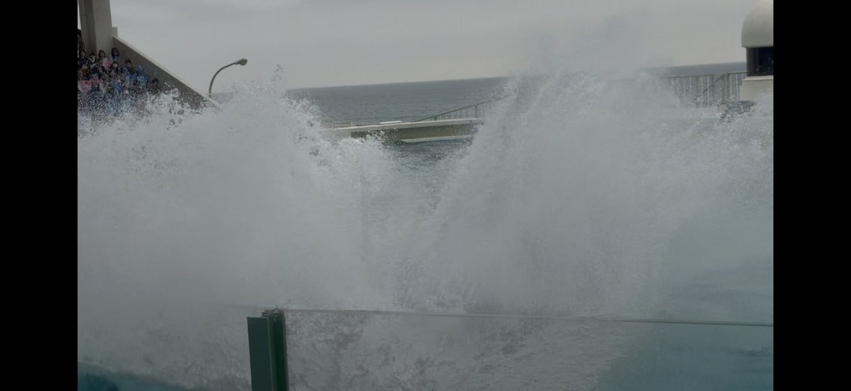 ゆに⛩🦊 tweet media