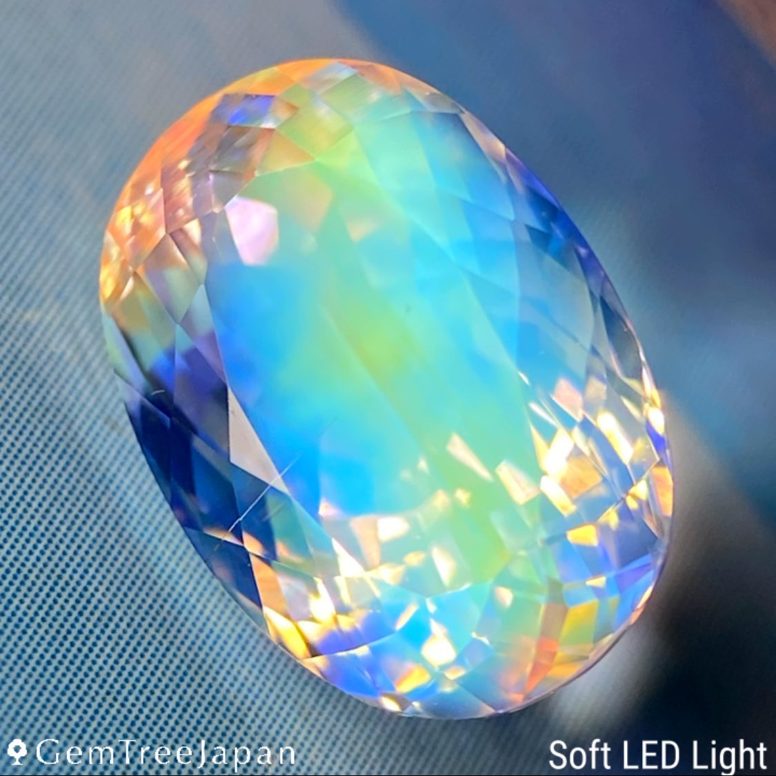 GemTreeJapan tweet media