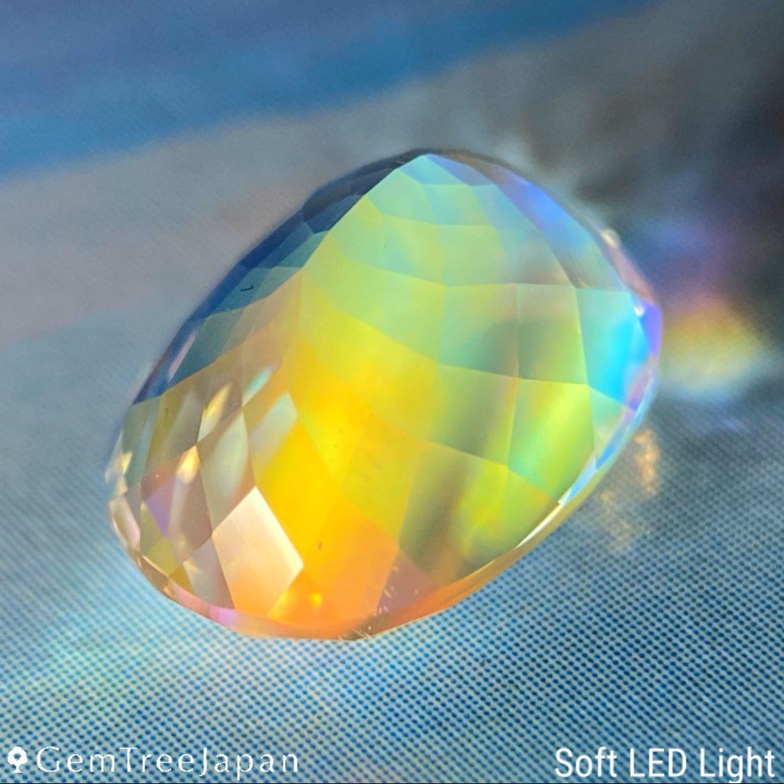 GemTreeJapan tweet media