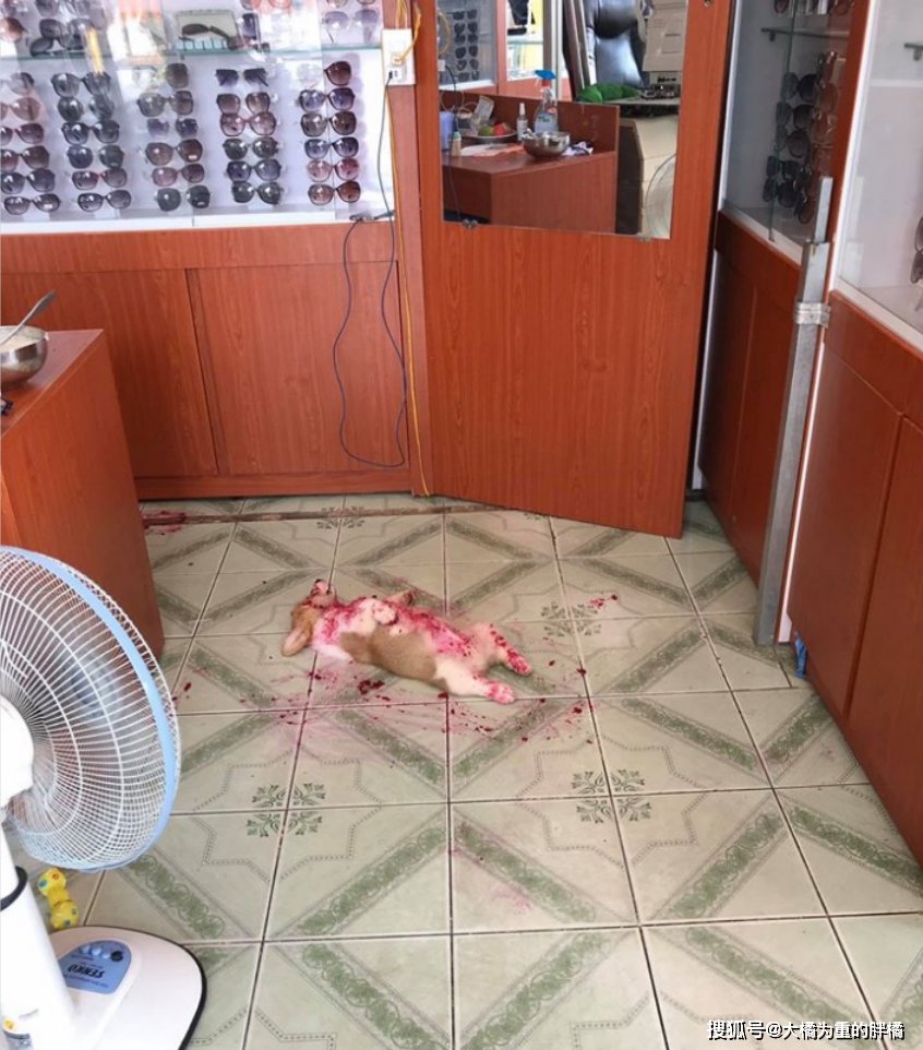 1cooling tweet media