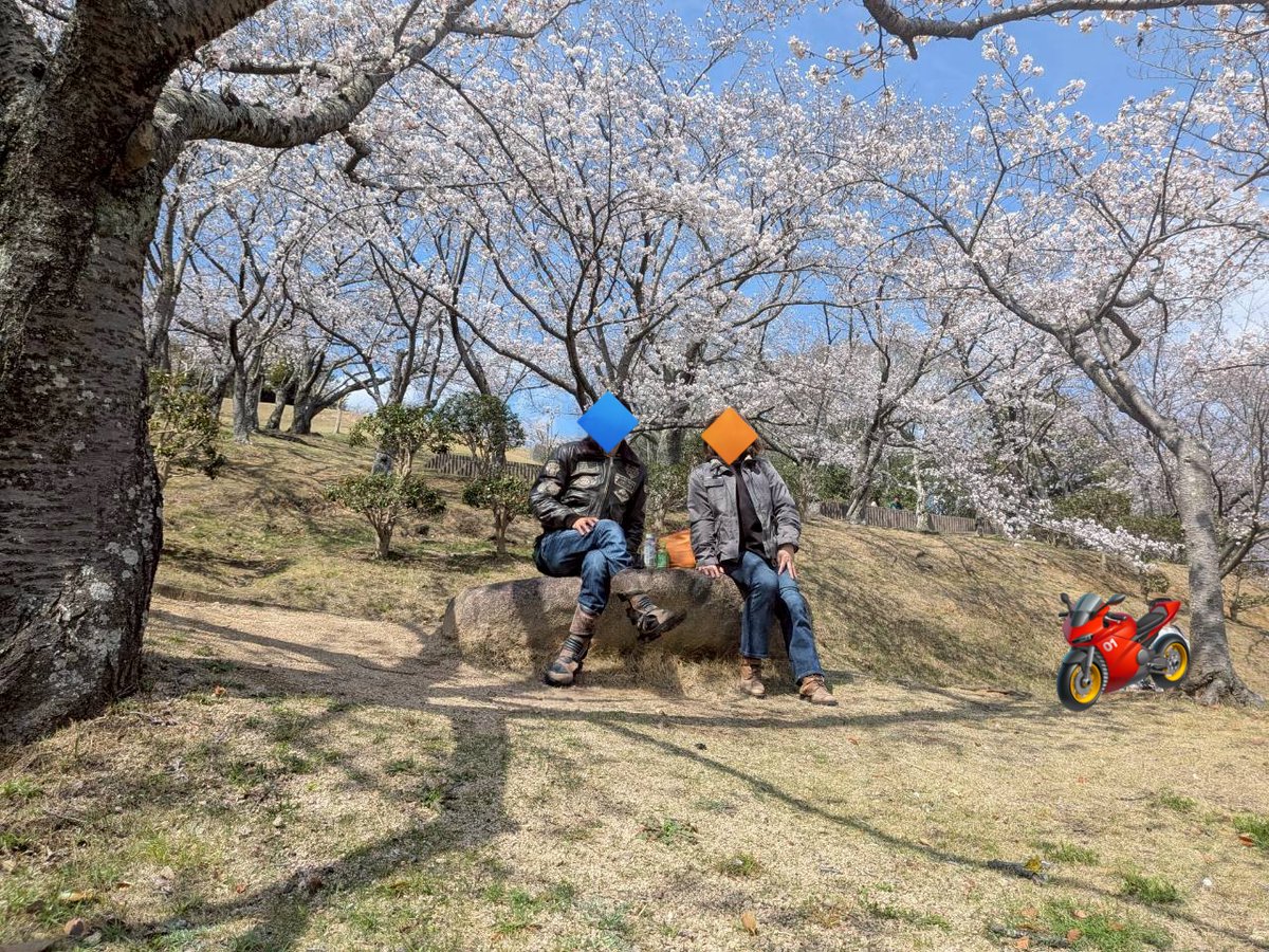 mizushima_aria's tweet photo. #夫婦ツーリング
#ZRX1200S
#DS250
昼前から晴れてきて、それじゃ行ってみよってことで、最近🏍️良く来る #円通寺公園 まで。
🌸ほぼ満開でした😀
暖かい(革ジャン暑い)陽気でゆっくりできました👍
駐車場が離れてて、桜を背景にしたバイク写真は無理でした💦
ショック~🤣 https://t.co/2aEITxKuHa