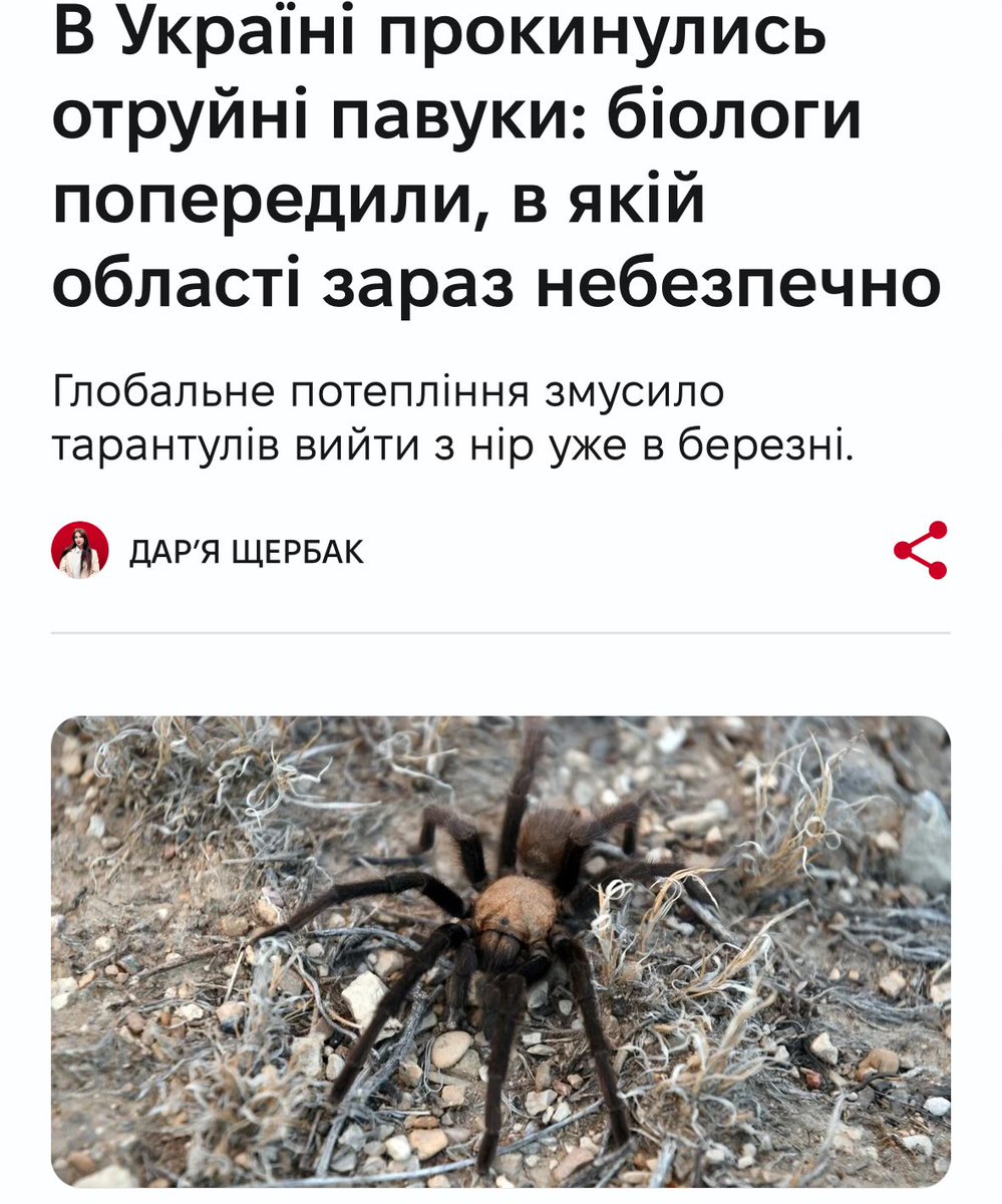 Mykyta Kazymyrov tweet media