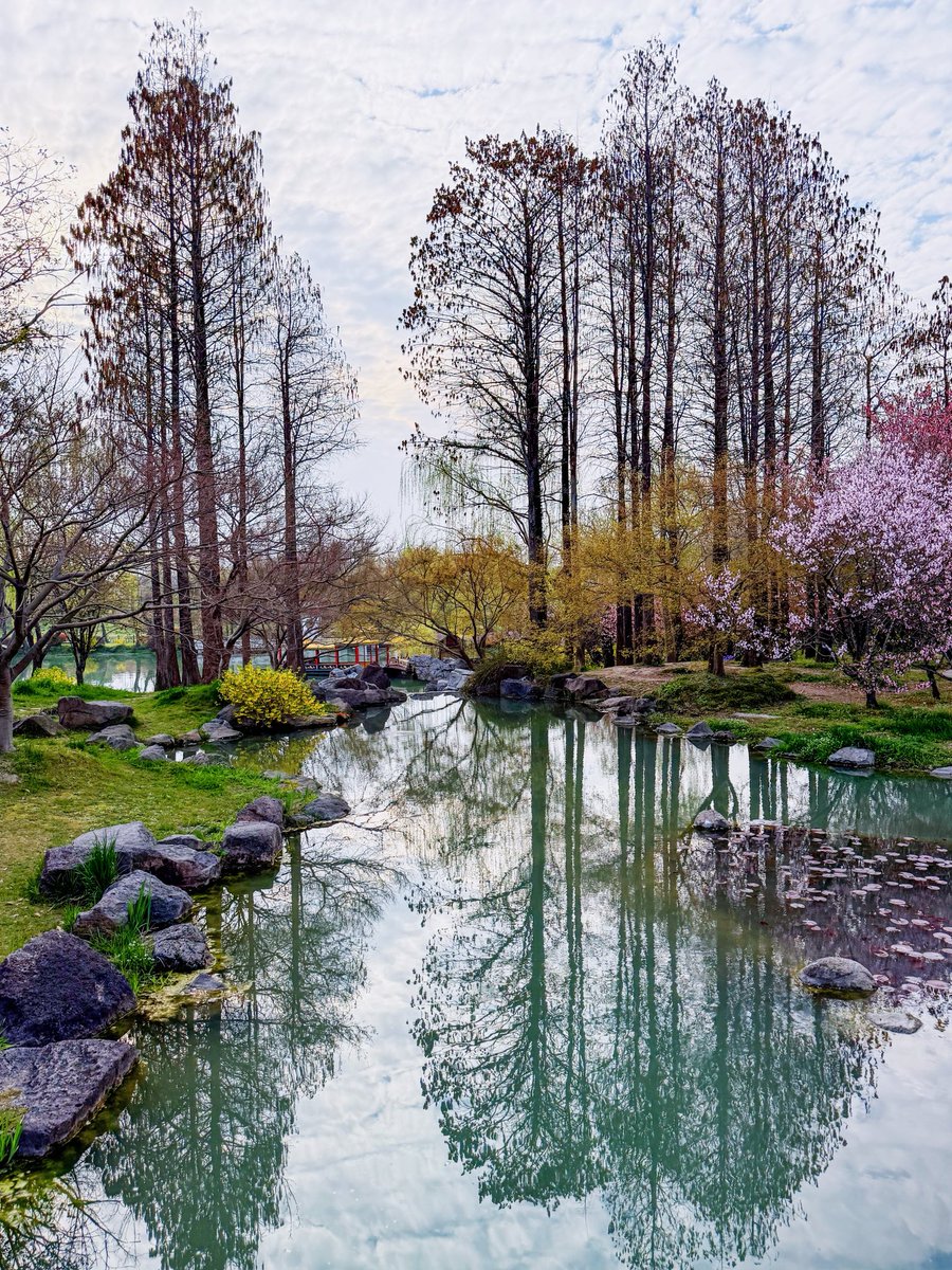 村上拖一鞋 tweet media