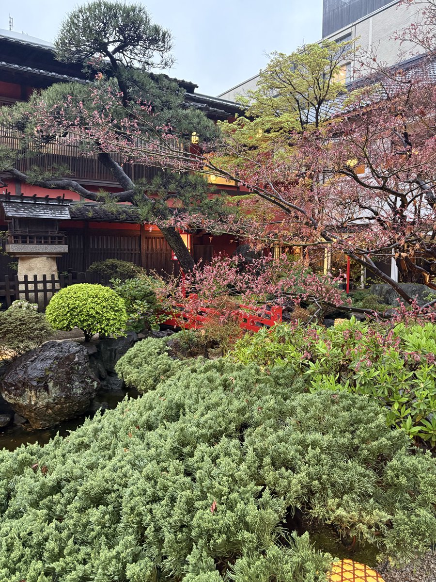 つるとんたん tweet media