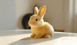 Bunny Robot Toy tweet media