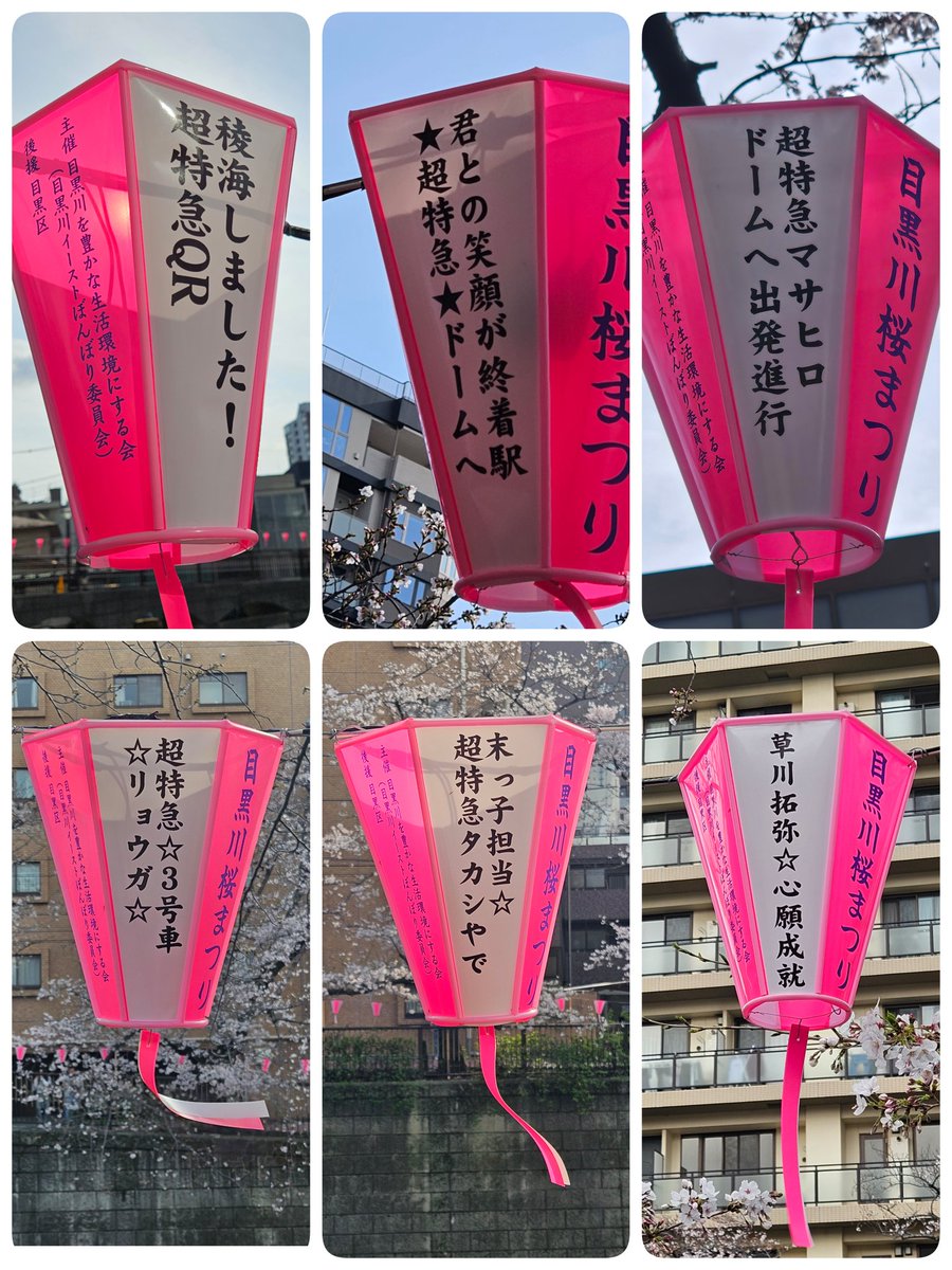 ちこ💜(🐶🐾キース) tweet media