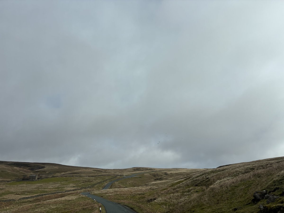 MartinWW❌ tweet media