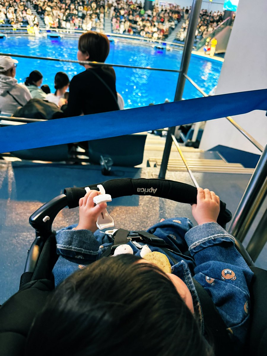 royal21cherry's tweet photo. 春休み最終日、おちびにとって人生初の水族館に行ってきました！！
ショーでは🐬の大ジャンプにビビり、お土産の🐬の人形はさっそく食べ、、、😋ww
帰りは駐車場でちょっとアクシデントがあったけど、楽しい一日だったね💕︎
明日からまた新しい生活が始まるぞー！頑張るぞ…… https://t.co/SqApONCmCZ