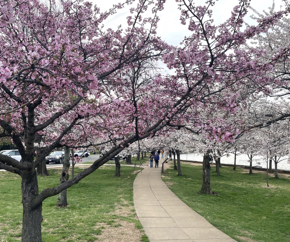 National Mall NPS tweet media