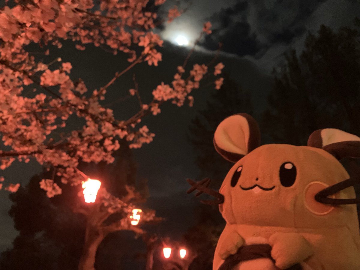 むちき tweet media