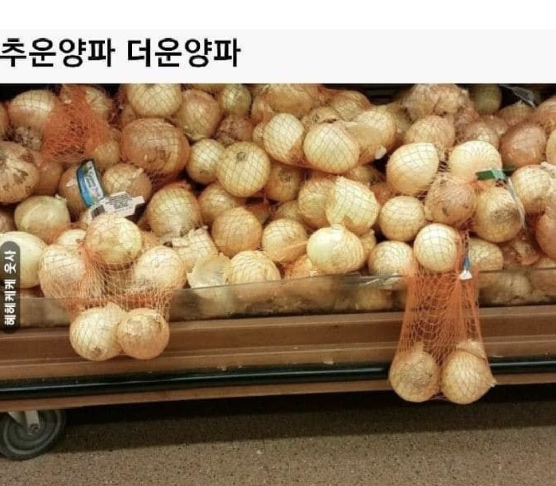 초보자 tweet media