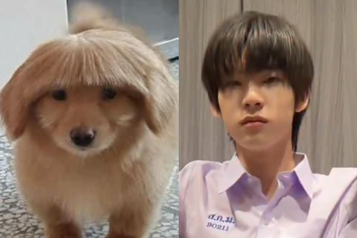 nmi⋆𑁤 tweet media