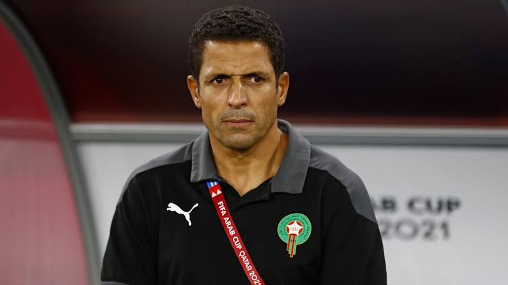 11LIONS.NL🦁 tweet media