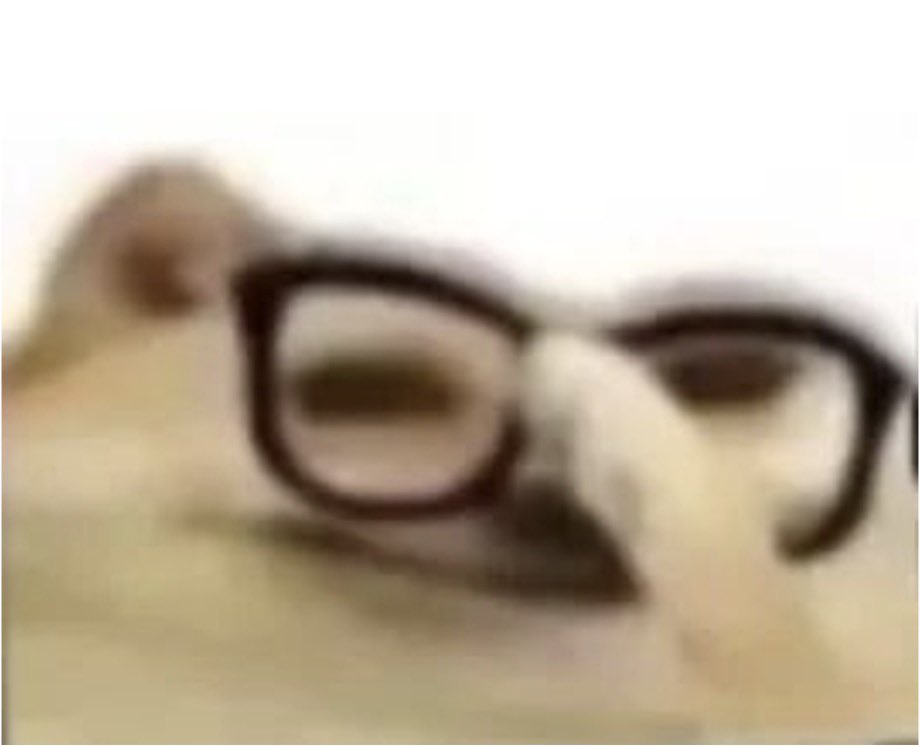 菠萝包 tweet media