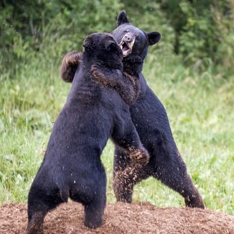 お侍さん tweet media