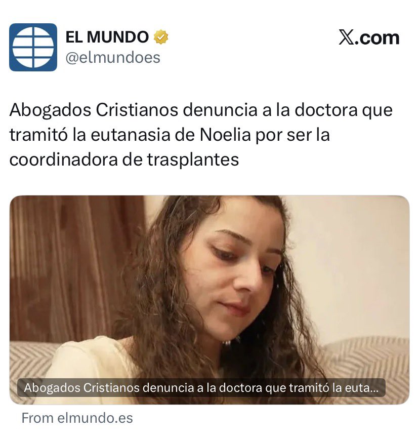 David van Hemelryck 🕊#D tweet media