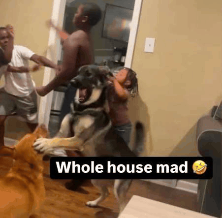 FunkerSamm tweet media