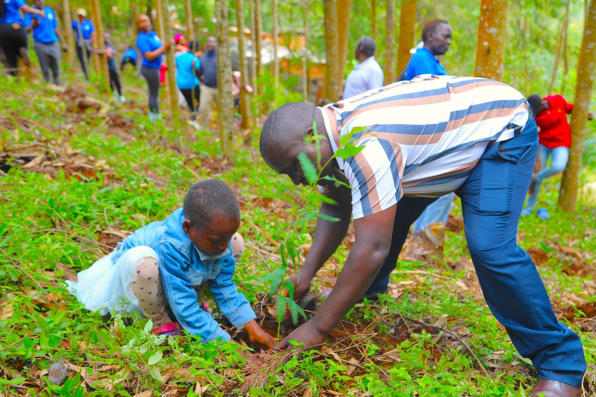 TheLandAlliance's tweet photo. As part of ongoing efforts to support forest restoration & stewardship, we joined @AminaLIVE254 to mark #InternationalDayOfForests in Machakos, Kenya.
We planted tree seedlings with children & youth, who are future stewards of our landscapes.
Read more:🔗 https://t.co/wVdVPH0iUJ
#TreesPeoplePlanet