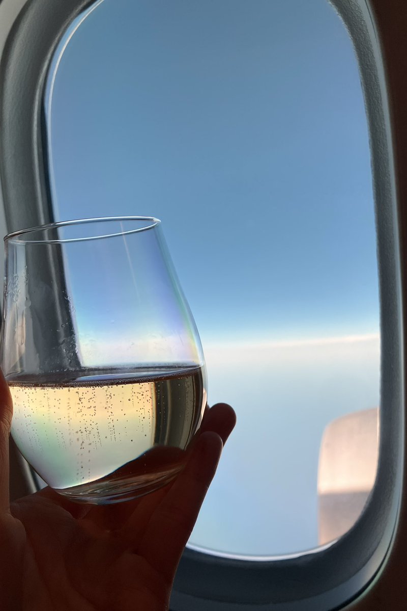 ari✈︎ tweet media