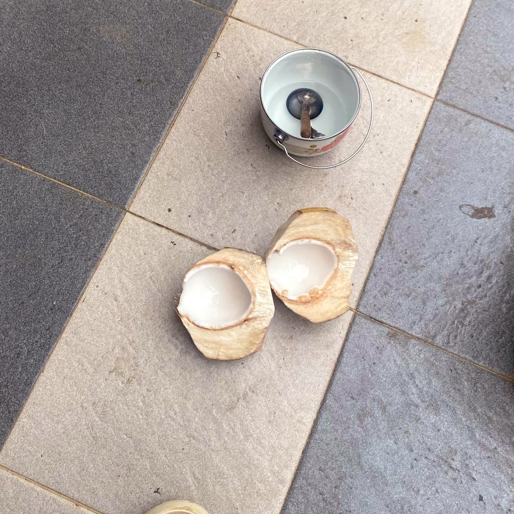 M. 梅丽 𐙚 tweet media